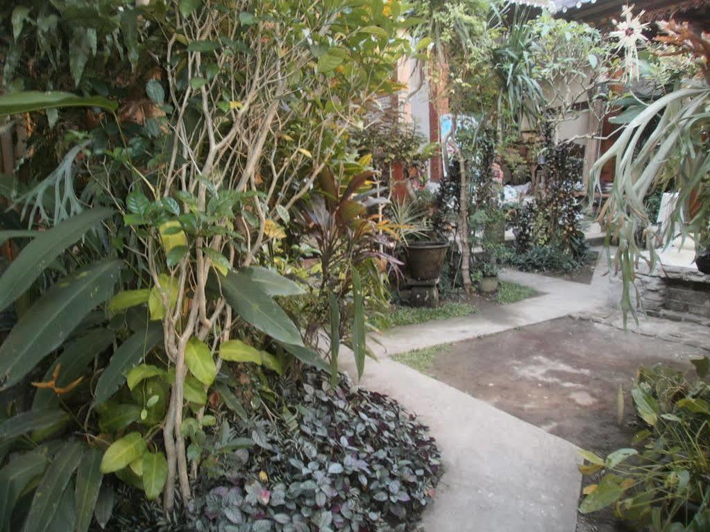 Alamanda Accomodation Ubud Kültér fotó